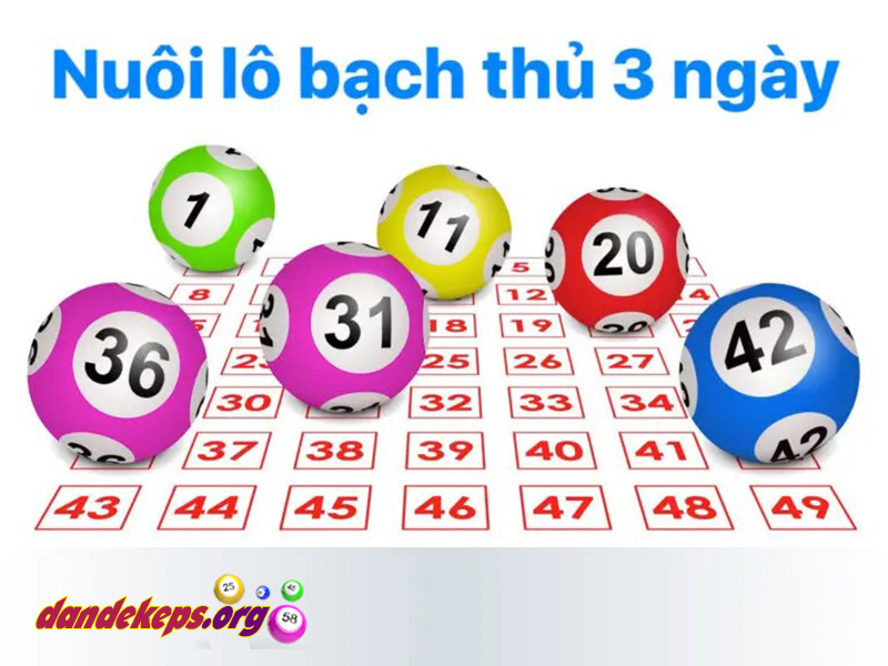 Soi cầu bạch thủ lô khung 3 ngày đơn giản, dễ trúng