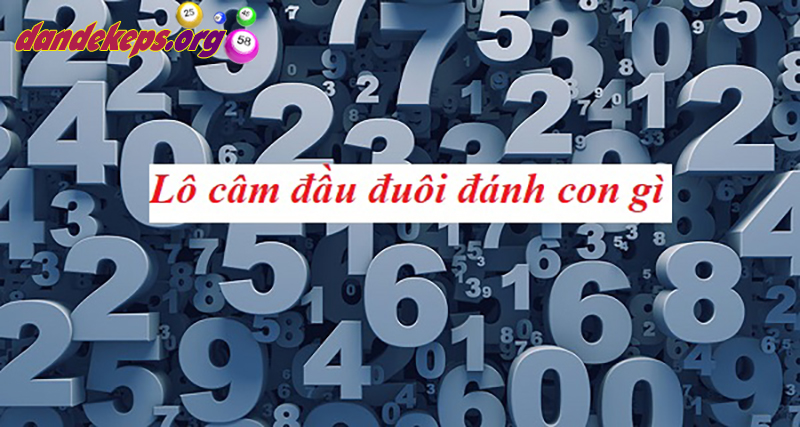 Lô câm đầu thì đánh con gì?