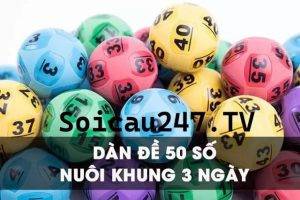 Phân tích dàn đề 50 số