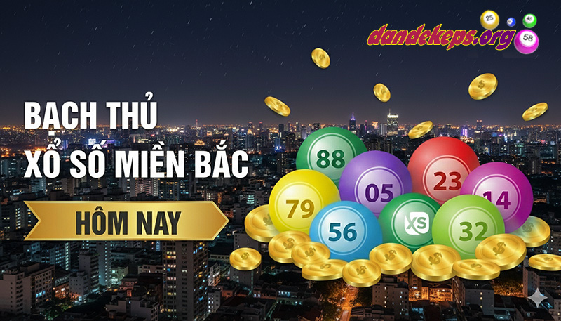 Bạch Thủ Lô Miền Bắc Là Gì Hiểu Sao Cho Đúng Bản Chất