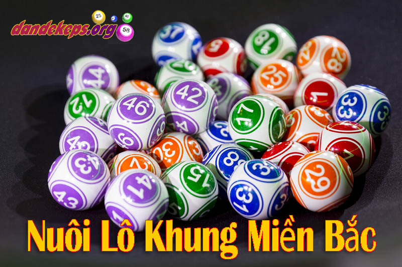Cách nuôi lô khung miền Bắc chuẩn nhất hiện nay